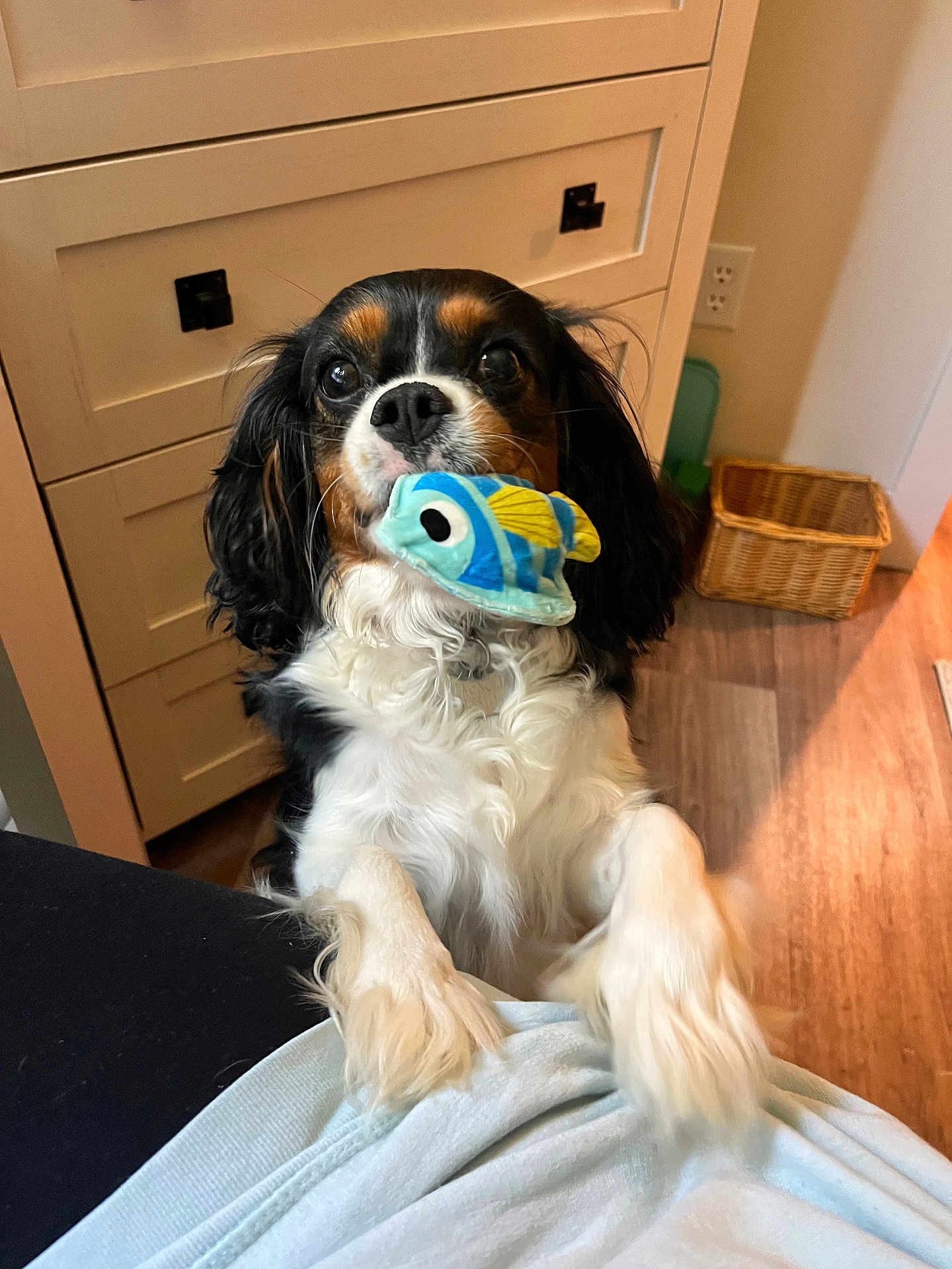 Maggie