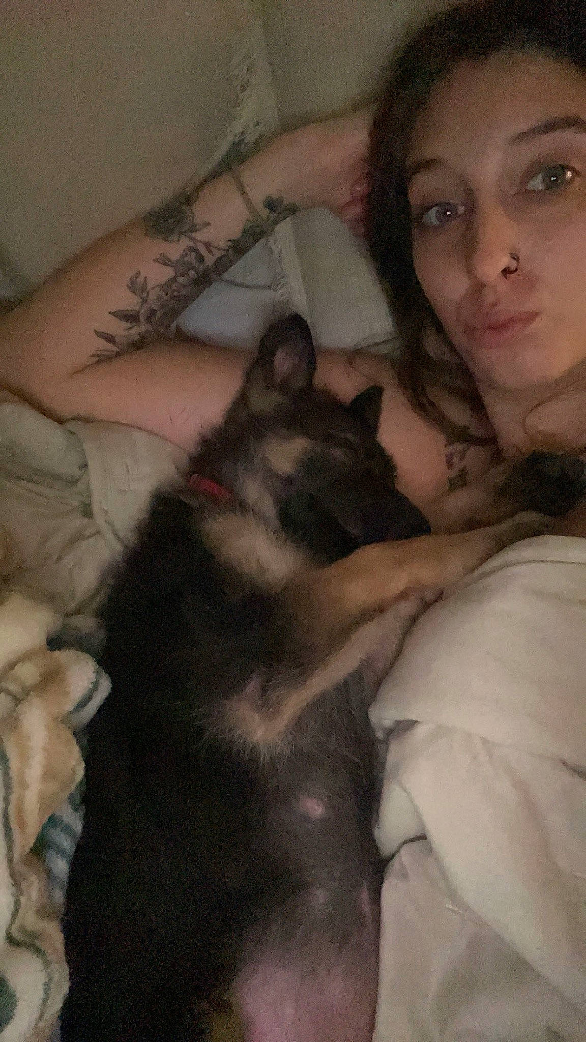 Athena is registered to the contest to win money with this photo: abdomen, black_hair, carnivore, cat, chest, comfort, ear, eye, eyelash, fawn, felidae, gesture, mammal, neck, shoulder, skin, small_to_medium_sized_cats, thigh, trunk, vertebrate