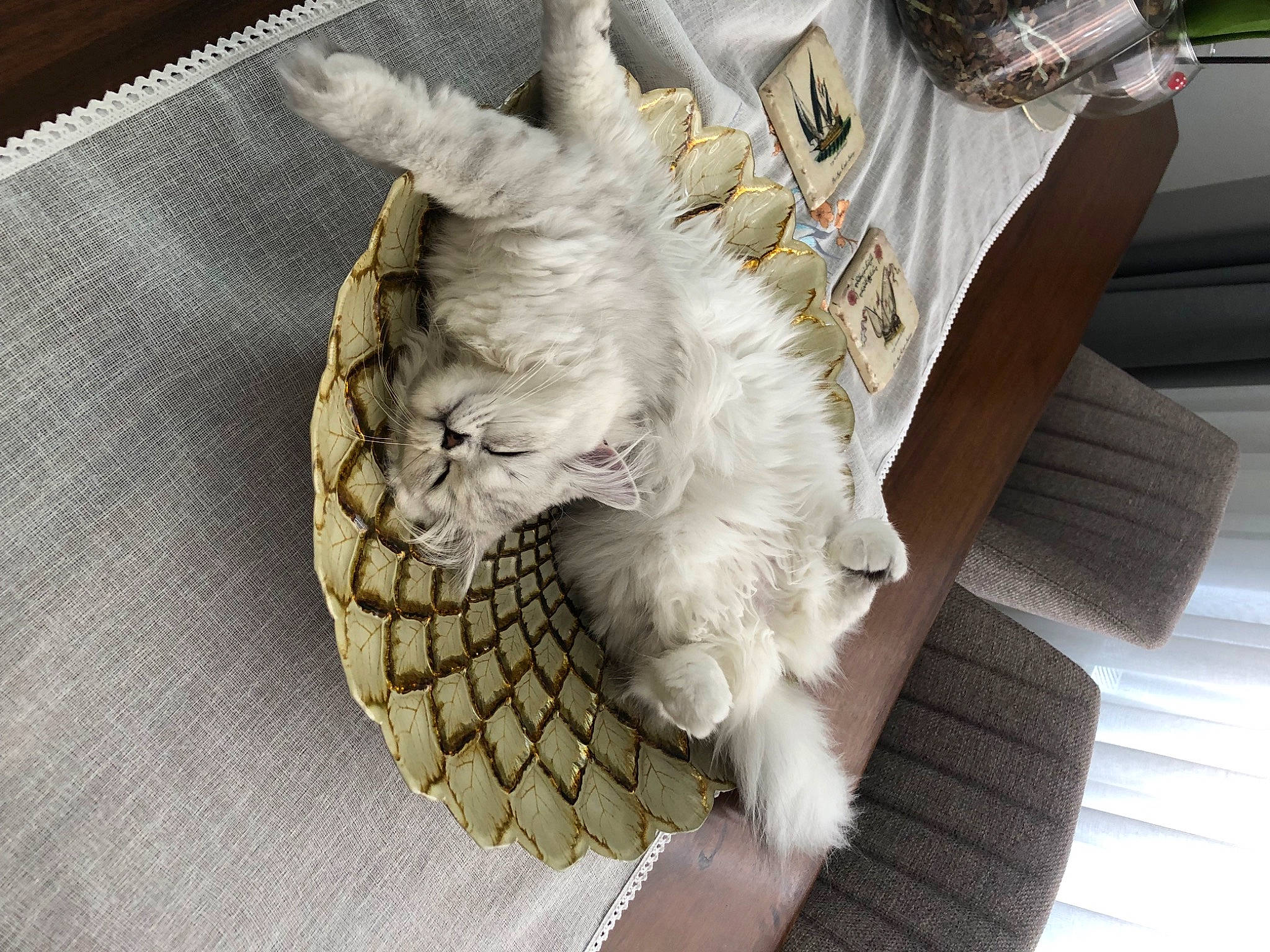 Cotton joined the competition — help win amazing prizes! animal_product, art, beak, bird_of_prey, claw, fashion_accessory, feather, felidae, fur, jewellery, linens, metal, natural_material, pattern, tail, wing