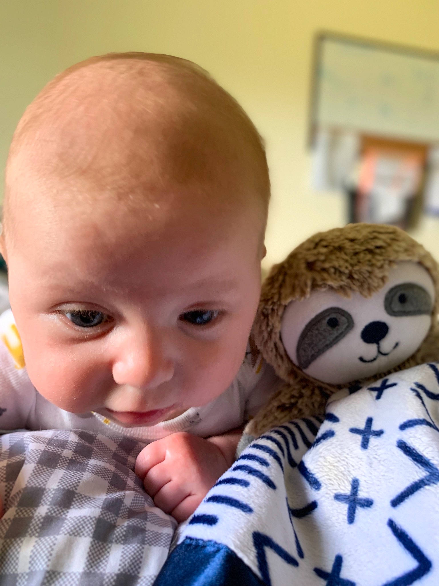 Lena joined the competition — help win amazing prizes! baby, cheek, child, doll, ear, face, head, nose, person, skin, smile, stuffed_toy, toddler, toy