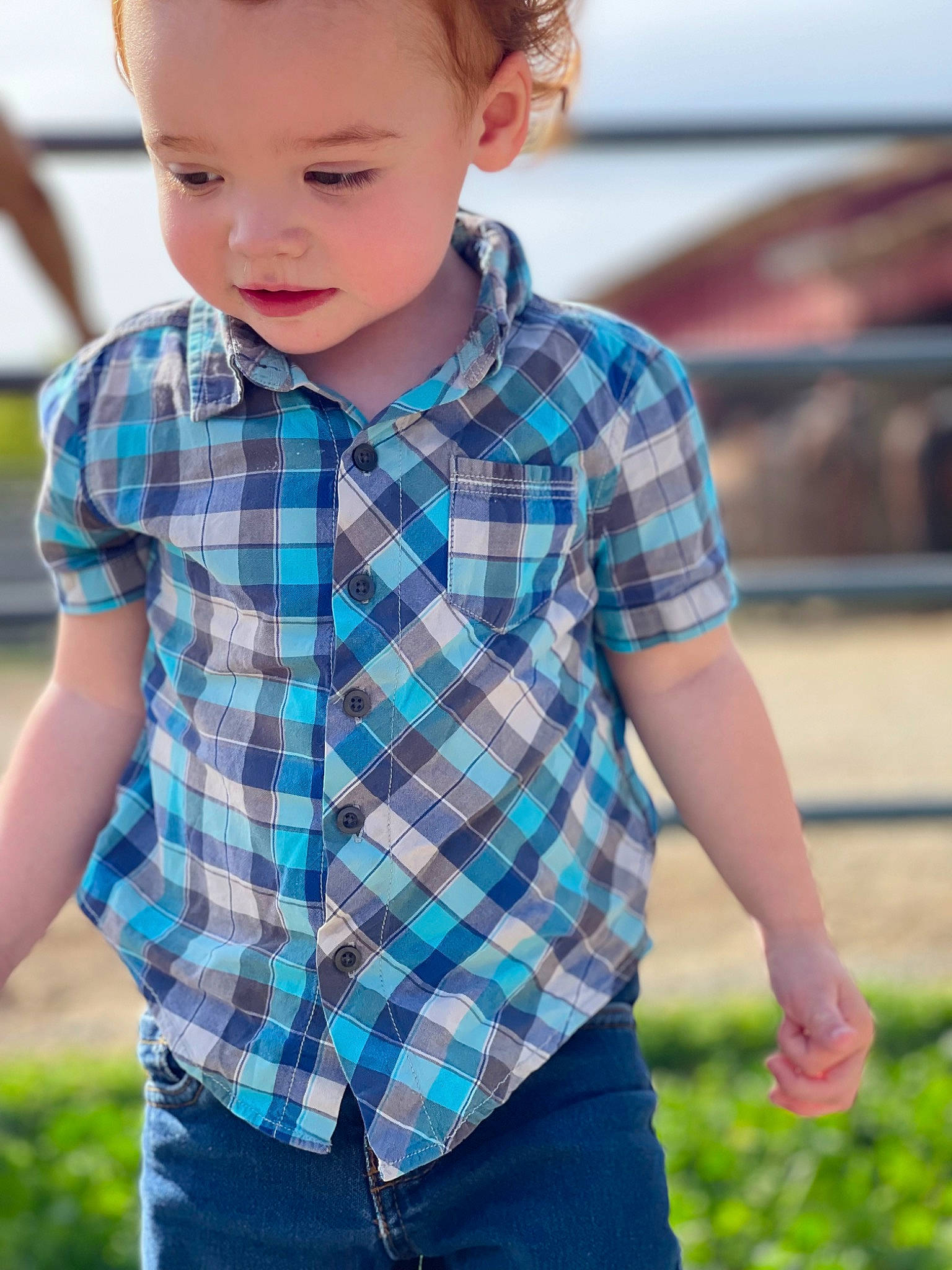 Forest is registered to the contest to win money with this photo: blue, collar, denim, dress_shirt, facial_expression, fashion, finger, gesture, grass, green, hand, happy, neck, person, plaid, plant, sleeve, standing, t_shirt, tartan