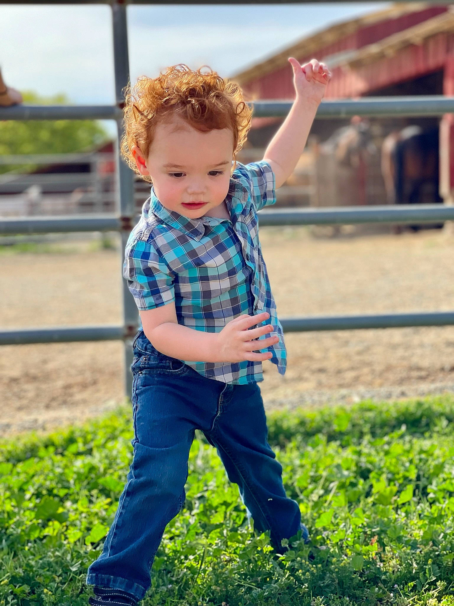 Forest joined the competition — help win amazing prizes! blond, child, denim, electric_blue, fun, grass, grassland, happy, jeans, leisure, pattern, person, plaid, plant, sitting, sky, sleeve, standing, t_shirt, tartan