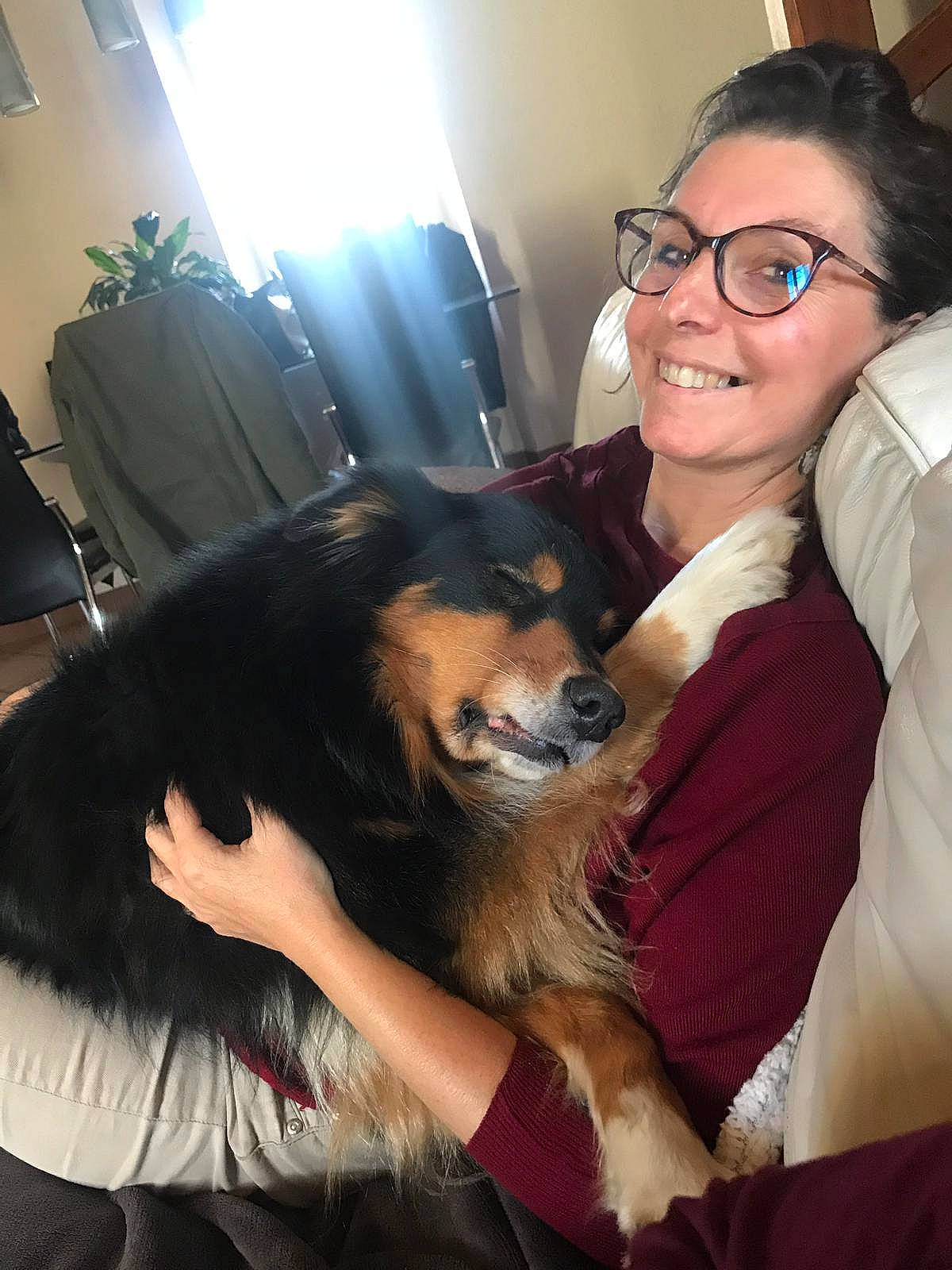 Horace a rejoint le concours — aidez-le/la à gagner de superbes lots ! canidae, carnivore, companion_dog, dog, dog_breed, fur, glasses, joy, mammal, person, pomeranian, puppy, puppy_love, room, smile