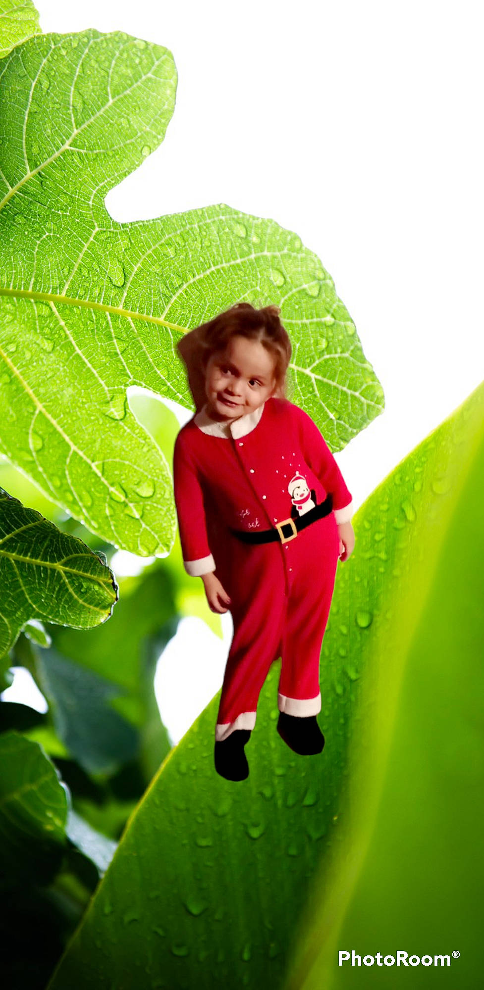 Sabrine participe au concours pour gagner de l'argent avec cette photo : child, fun, gesture, grass, happy, jacket, joy, leisure, people_in_nature, person, plant, portrait_photography, sky, sleeve, smile, toddler, tree, window, woody_plant