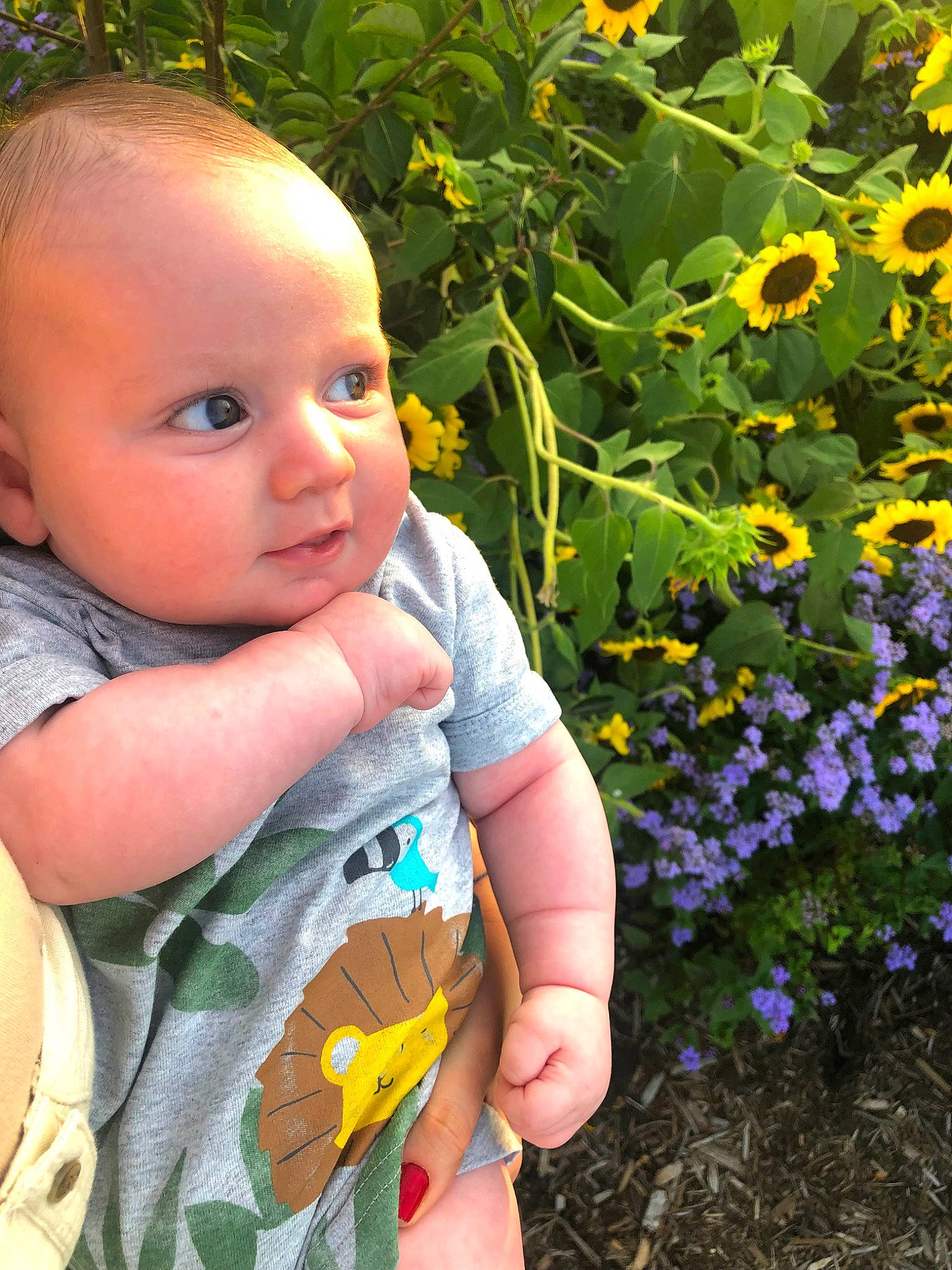 Hayven joined the competition — help win amazing prizes! annual_plant, baby, baby_toddler_clothing, child, finger, flower, flowering_plant, grass, groundcover, happy, iris, leaf, nose, people_in_nature, person, petal, plant, shrub, thumb, toddler