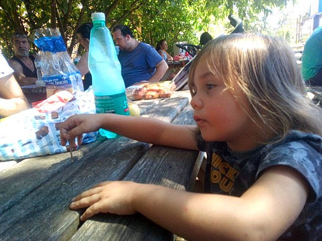 Marouane a rejoint le concours — aidez-le/la à gagner de superbes lots ! child, finger, fun, leisure, person, play, tree