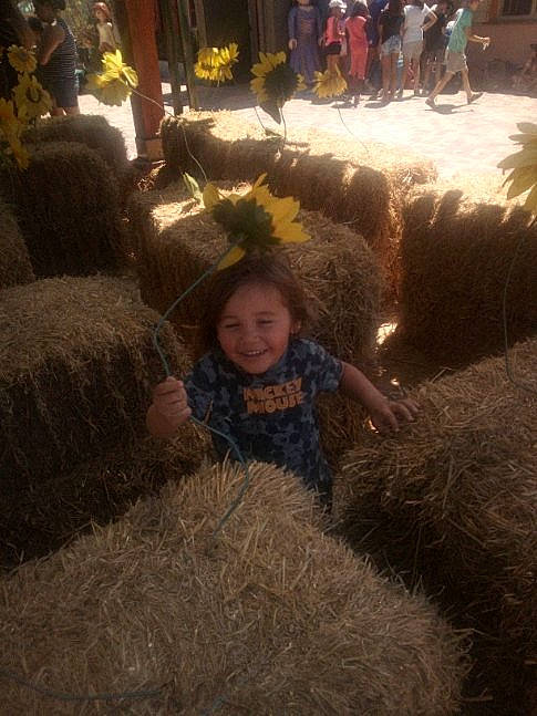 Marouane a rejoint le concours — aidez-le/la à gagner de superbes lots ! child, fun, fur, joy, person, plant, tree