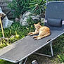 cat, ginger_cat, outdoor, garden, lounge_chair, relaxing, sunlight, greenery, plants, rocks, fence, nature, grass, pet, animal, summer, resting, leisure, daytime, calm