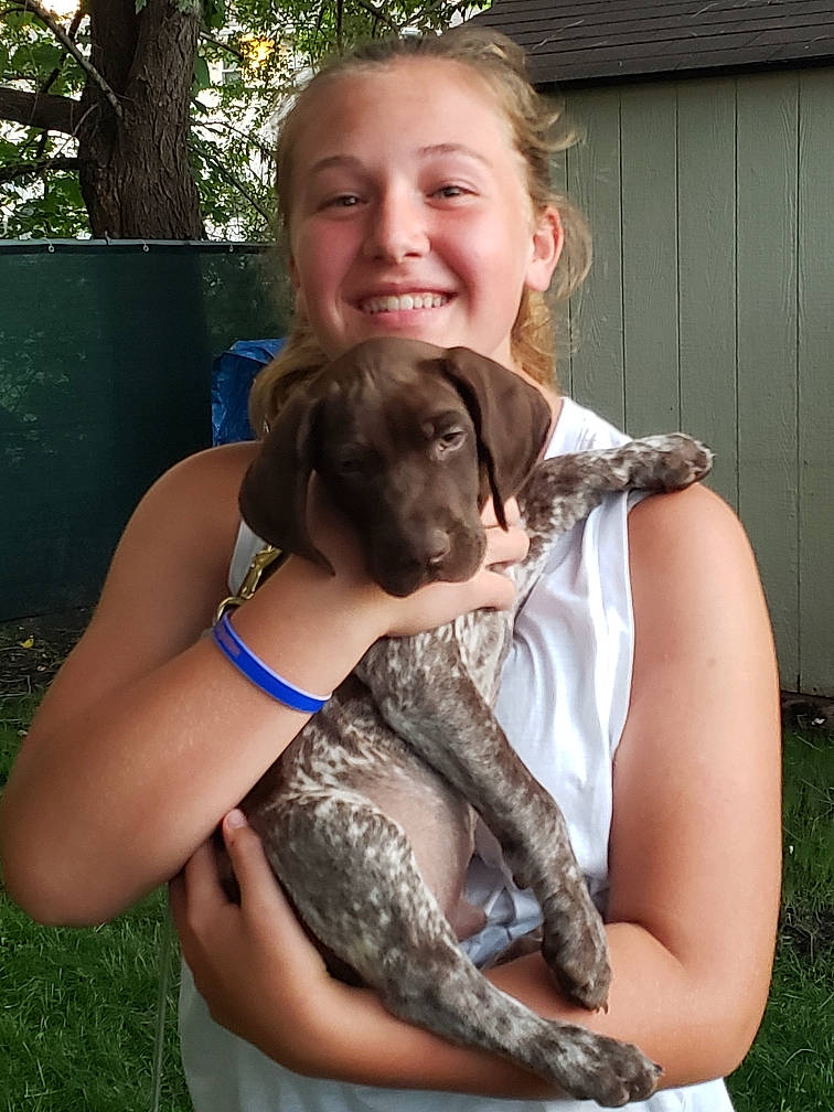 Remmy is registered to the contest to win money with this photo: braque_francais, canidae, carnivore, dog, dog_breed, fawn, german_longhaired_pointer, german_shorthaired_pointer, pointer, pointing_breed, sporting_group, weimaraner