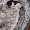 Buddy joined the competition — help win amazing prizes! cat, pet, blanket, bed, cozy, fur, black_and_white, sleepy, resting, indoor, animal, cute, warm, comfort, feline, snug, soft, home, relaxed, nest