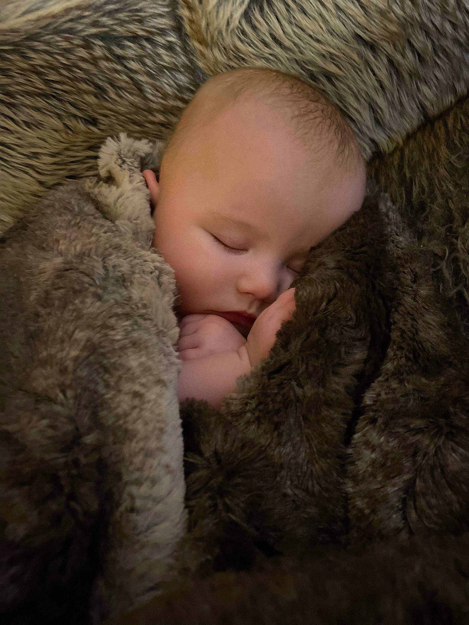 Madilyn is registered to the contest to win money with this photo: baby, cheek, child, comfort, ear, eye, eyelash, fur, gesture, grass, grey, hug, nose, person, skin, snout, toddler, tree, vertebrate, wood