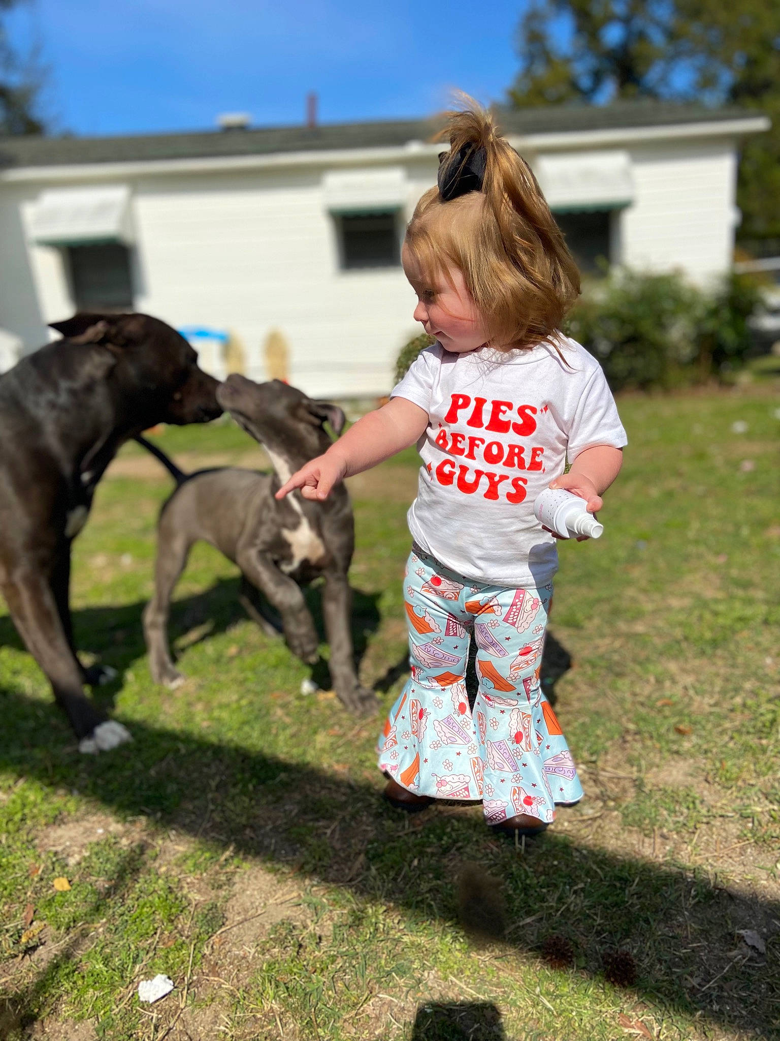 Hazley joined the competition — help win amazing prizes! canidae, carnivore, child, companion_dog, dog, dog_breed, fawn, fun, grass, happy, lawn, mammal, person, plant, recreation, sky, tail, toddler, tree, vertebrate