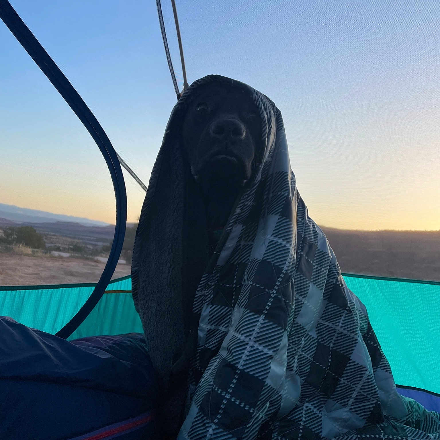 Charlie joined the competition — help win amazing prizes! azure, boats_and_boating_equipment_and_supplies, electric_blue, horizon, human_leg, lake, landscape, leisure, ocean, pattern, personal_protective_equipment, recreation, rope, sky, tints_and_shades, travel, tree, wind, windshield, wing