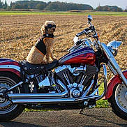 Diego a rejoint le concours — aidez-le/la à gagner de superbes lots !