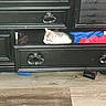 black_furniture, cat, clothes, colorful, cozy, curious, domestic, drawer, dresser, feline, furniture_handle, home, indoor, pet, quiet, resting, side_view, small_space, still_life, wooden_floor