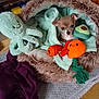puppy, chihuahua, dog, pet_bed, blanket, stuffed_octopus, plush_toy, avocado_plush, orange_toy, rope_toy, carpet, wooden_floor, wood_paneling, shelf, throw_blanket, cozy, indoor, cute, small_dog, soft_fur