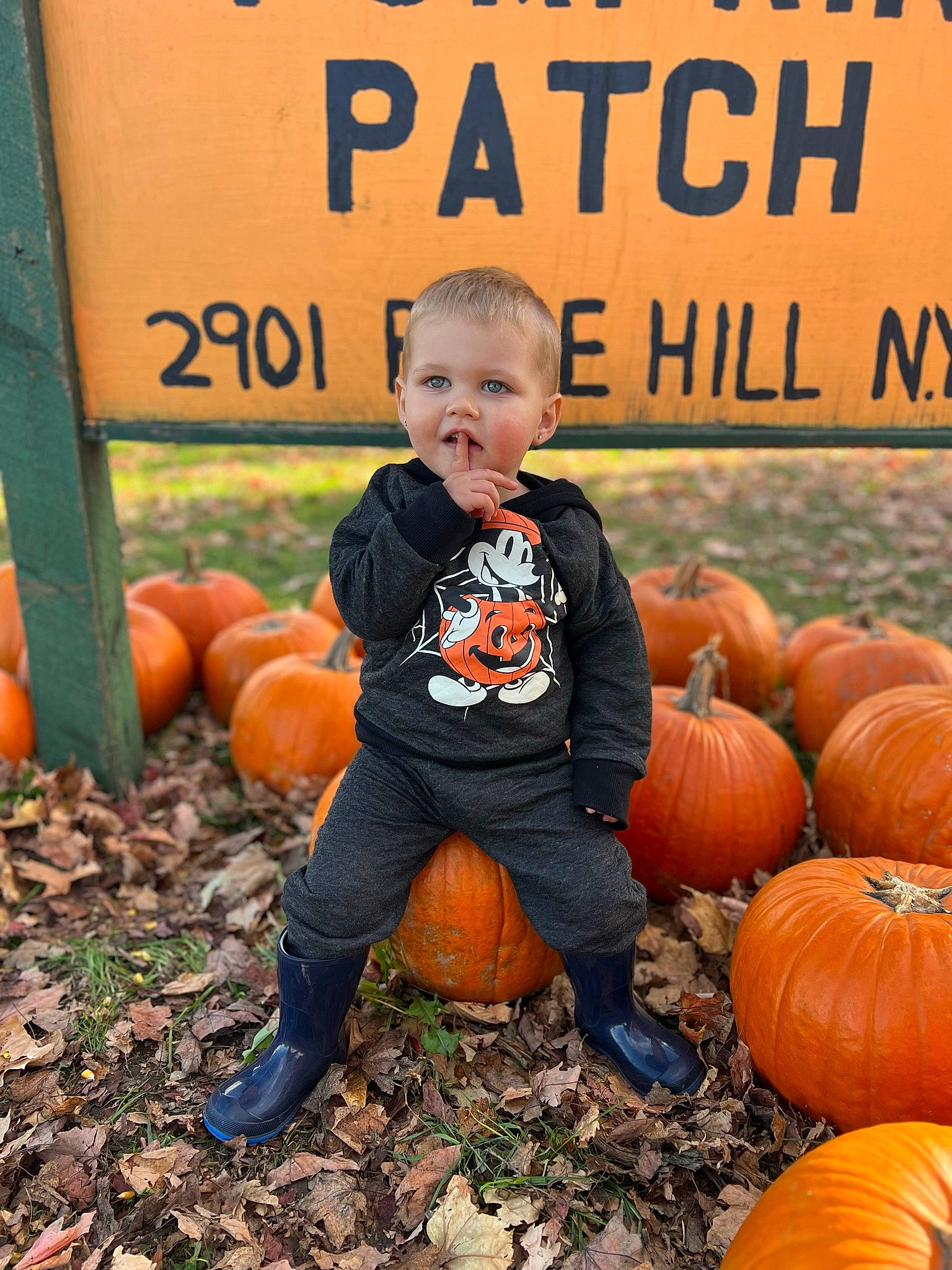 Conner joined the competition — help win amazing prizes! calabaza, clothing, cucurbita, facial_expression, gourd, grass, happy, leaf, natural_foods, orange, people, people_in_nature, person, plant, pumpkin, smile, squash, toddler, vegetable, whole_food