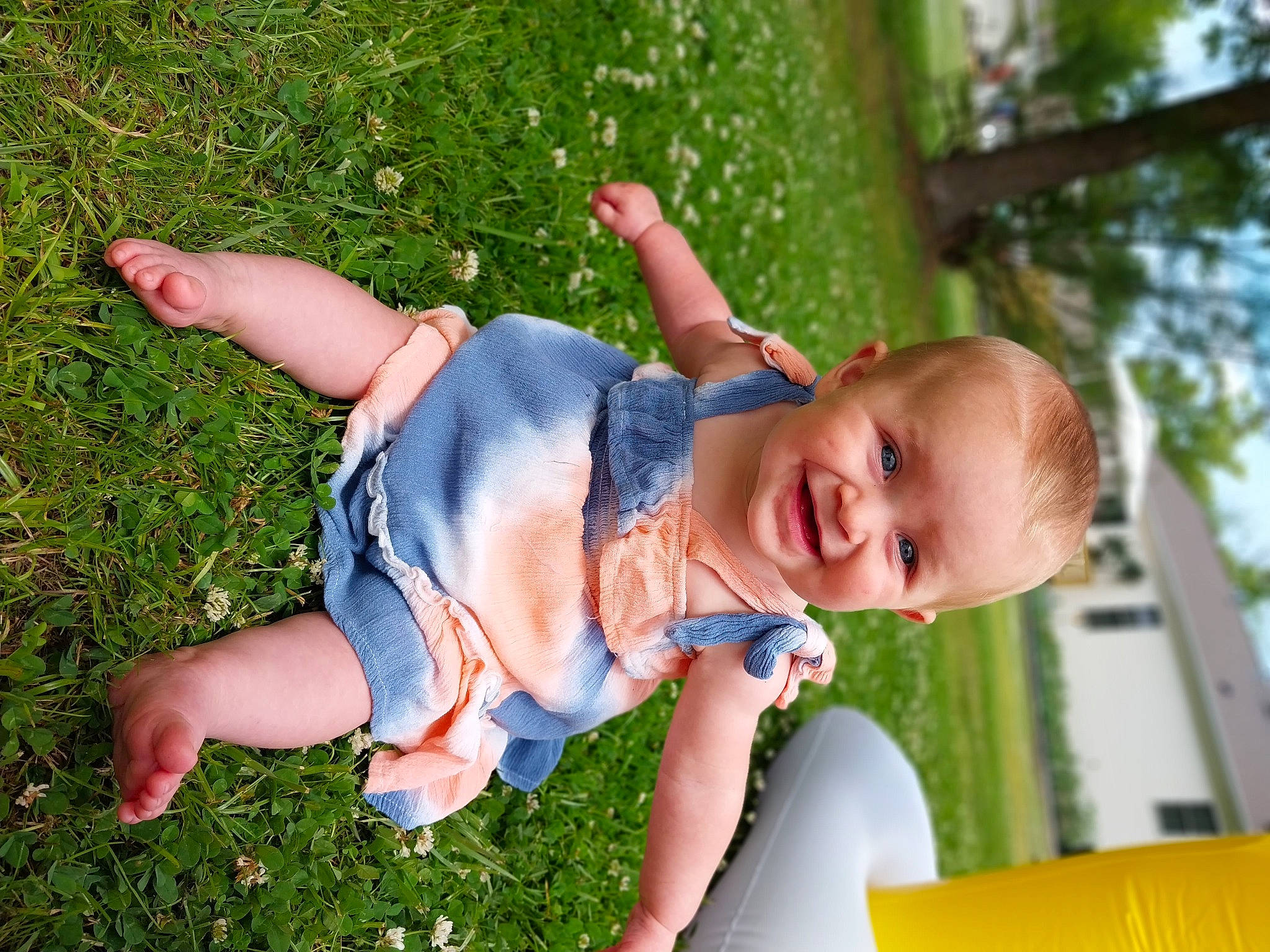 Rebecca is registered to the contest to win money with this photo: baby, baby_toddler_clothing, child, event, fun, garden, grass, grassland, happy, joy, lawn, leisure, people_in_nature, person, plant, play, recreation, sitting, smile, toddler