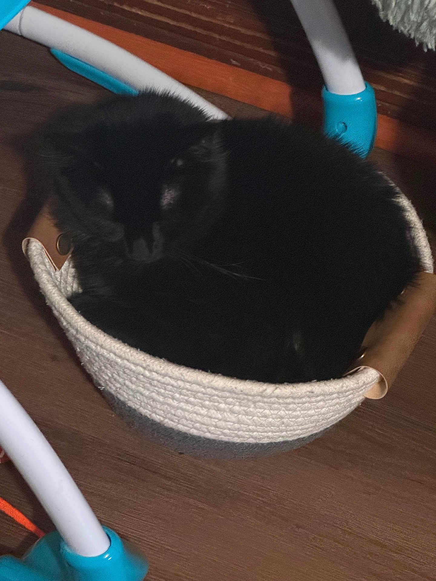 Salem