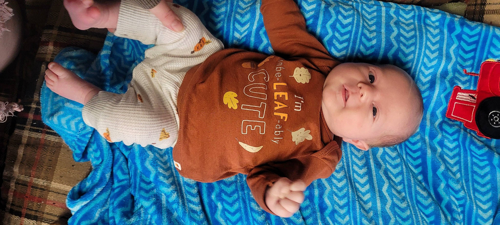 Colby joined the competition — help win amazing prizes! azure, baby, baby_toddler_clothing, beauty, blue, cheek, child, electric_blue, eye, facial_expression, hairstyle, happy, head, human_body, person, product, skin, sleeve, toddler, tree