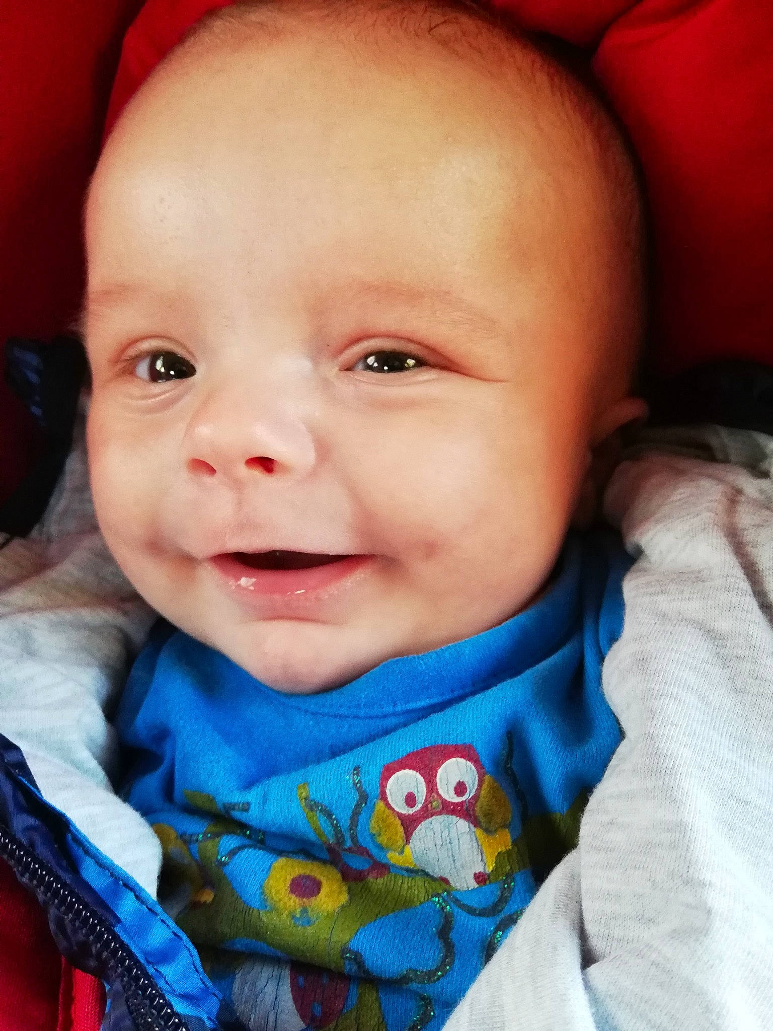 Brayan a rejoint le concours — aidez-le/la à gagner de superbes lots ! boy, cheek, child, chin, cool, eye, eyebrow, face, facial_expression, forehead, head, infant, iris, lip, mouth, nose, person, skin, smile, toddler