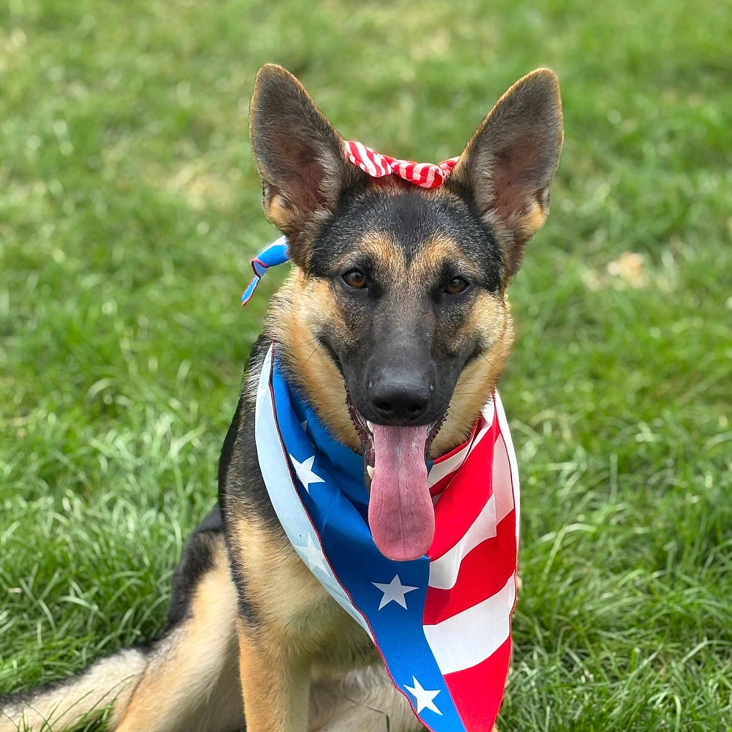 Nyla