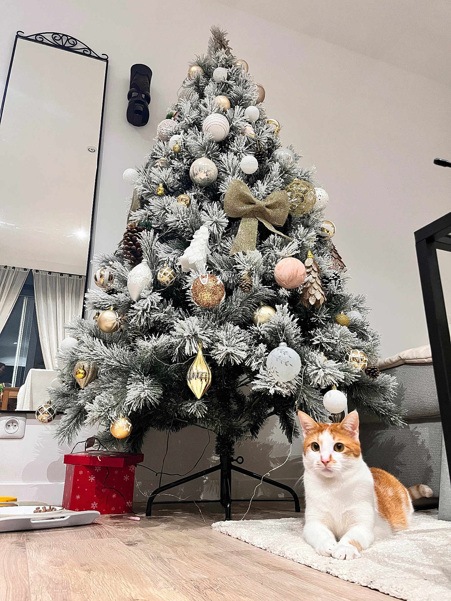 Sully a rejoint le concours — aidez-le/la à gagner de superbes lots ! cat, christmas_tree, ornaments, indoor, rug, decorations, mirror, curtains, floor, furniture, gift_box, holiday, festive, orange_cat, white_cat, pine_cones, living_room, table, lights, cozy