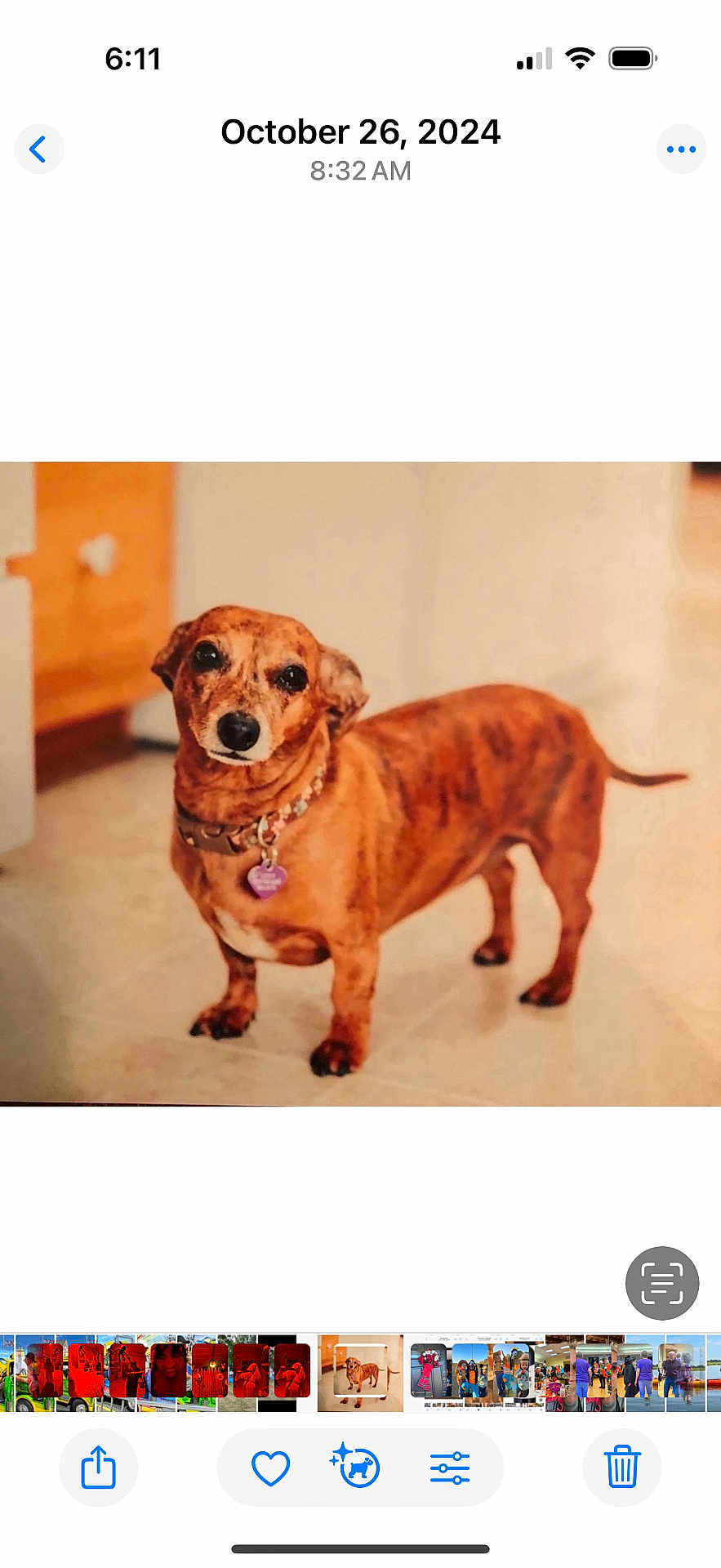 Lucy