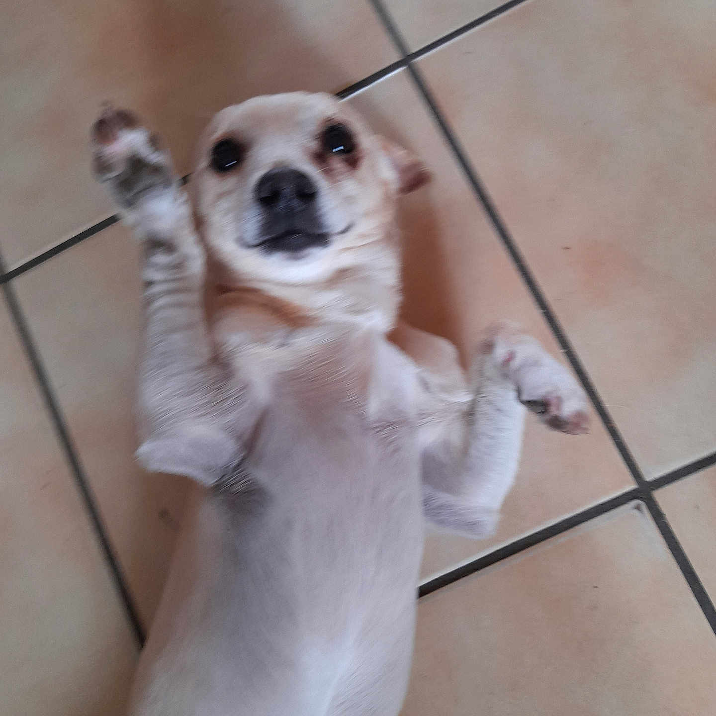 Tango