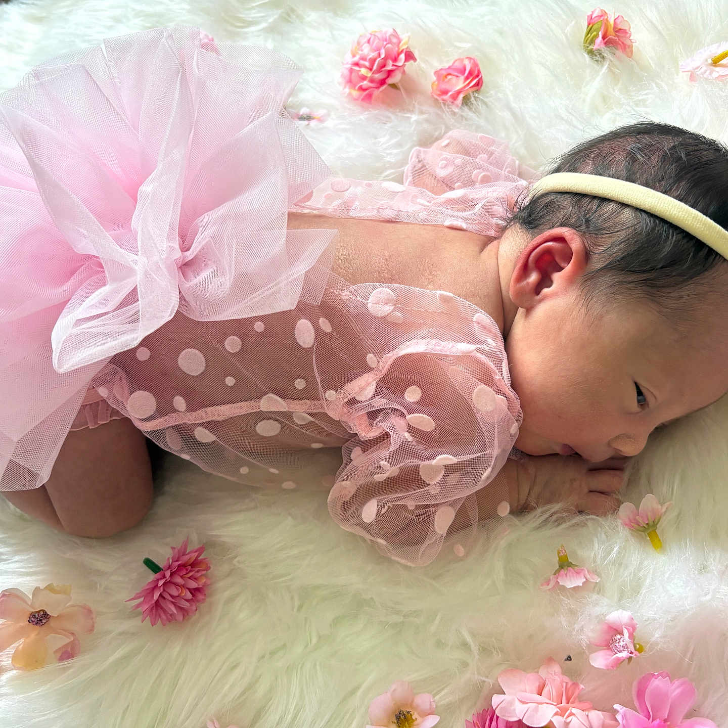 Keera is registered to the contest to win money with this photo: baby, infant, pink_tutu, headband, polka_dot, mesh_fabric, fluffy_blanket, flowers, pink_flowers, resting, newborn, soft_texture, cute, portrait, sleepy, delicate, baby_clothing, close_up, peaceful, indoor