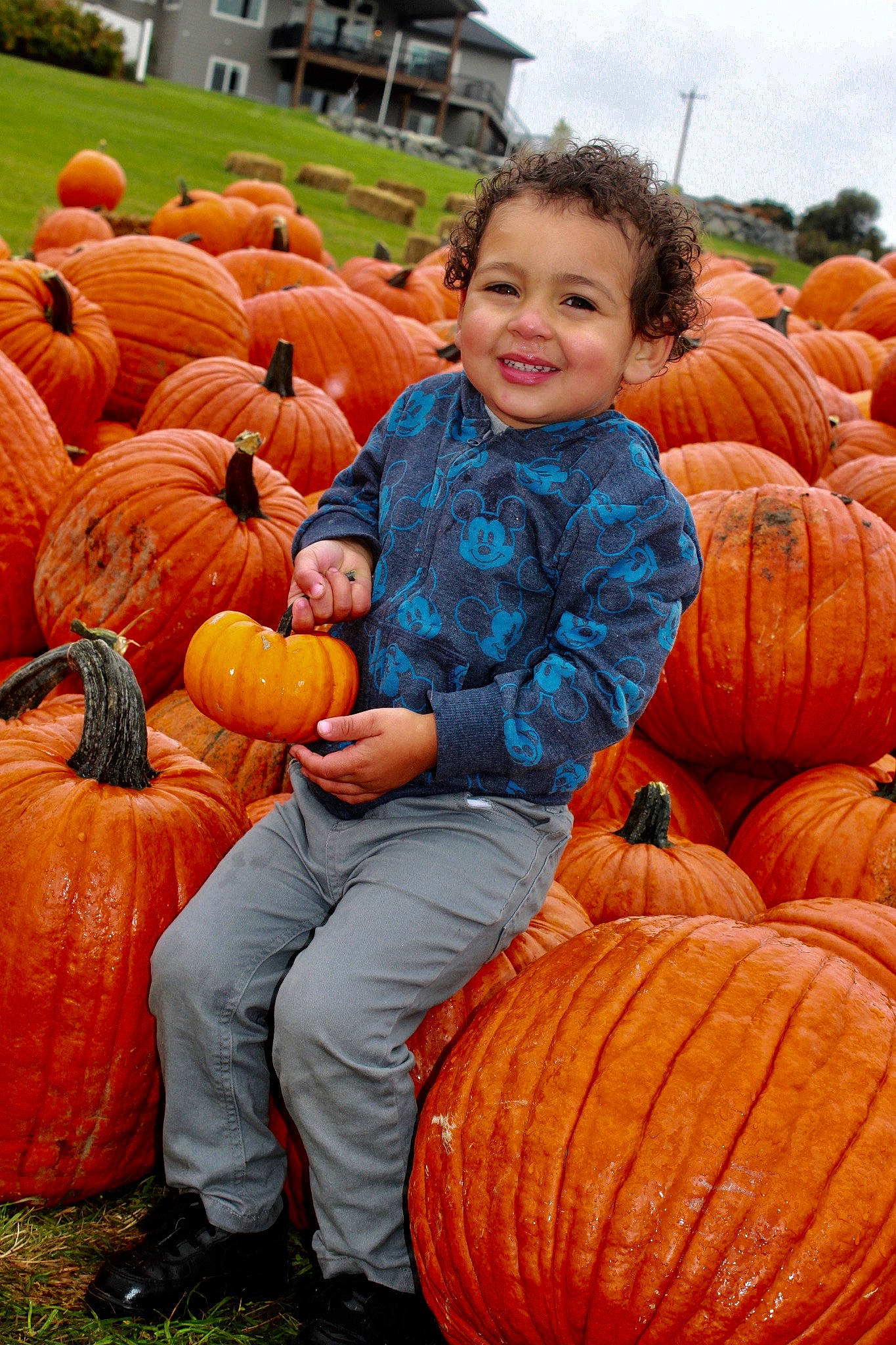 Izaiah joined the competition — help win amazing prizes! _and_melon_family, _gourd, calabaza, cucumber, cucurbita, food, fruit, gourd, joy, local_food, natural_foods, orange, person, plant, produce, pumpkin, smile, squash, superfood, vegetable