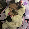 toddler, child, kitten, cat, hug, bow, hair_accessory, bean_bag, minnie_mouse, purple, pink, jacket, hoodie, pants, shoes, wood_floor, indoor, cute, cozy, pet
