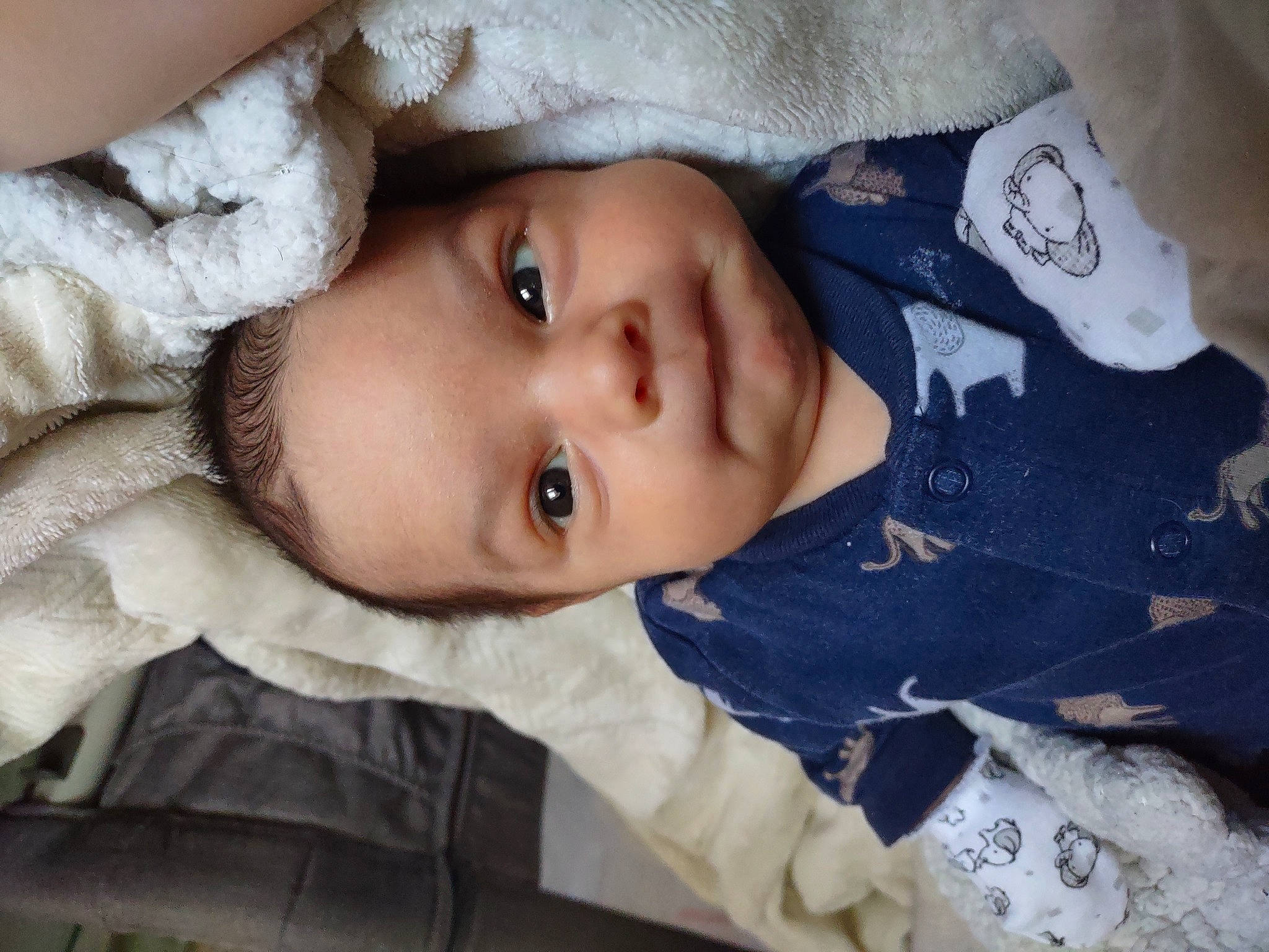 Zackary is registered to the contest to win money with this photo: baby, baby_toddler_clothing, cheek, chin, eye, eyebrow, eyelash, facial_expression, flash_photography, human_body, iris, lip, mouth, nose, organ, person, plant, skin, toddler, tree