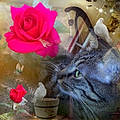 Alexe M. B.