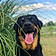 Paco