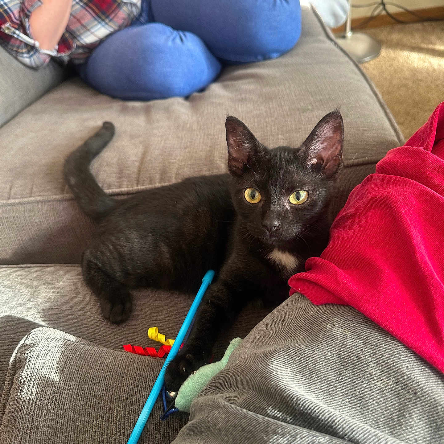 Leo
