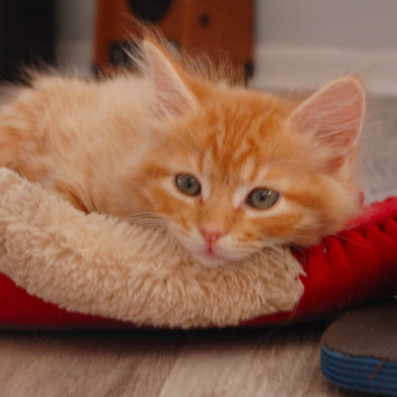 Fluffy