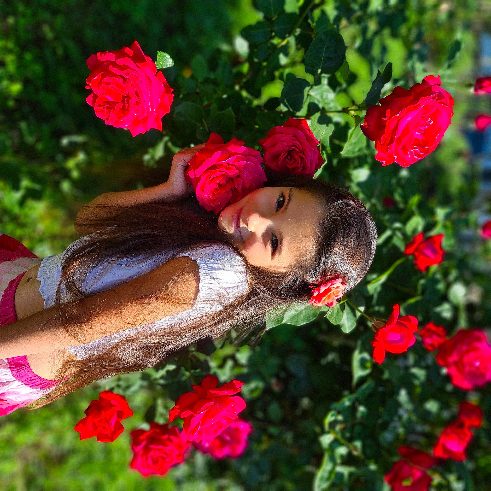 Maelys a rejoint le concours — aidez-le/la à gagner de superbes lots ! annual_plant, beauty, botany, dress, flower, flowering_plant, grass, happy, hat, hybrid_tea_rose, joy, leaf, magenta, people_in_nature, person, petal, pink, plant, red, rose
