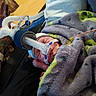 baby, blanket, breathing_tube, hospital, medical_equipment, tattoo, hand, phone, sleeping, newborn, person, face, cozy, star_pattern, bed, resting, indoor, healthcare, wrapped, patient
