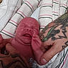 Damon is registered to the contest to win money with this photo: newborn, baby, tattooed_hands, striped_cloth, hospital, infant, person, skin, wrapping, medical, human, holding, closeup, cute, child, newborn_baby, tiny, fresh, hospital_bed, skin_texture