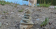Arceus joined the competition — help win amazing prizes! animal, canine, dirt, dog, forest, grass, happy, lake, landscape, nature, outdoor, pet, reflection, rocks, scenery, sky, stacked_rocks, summer, trees, water