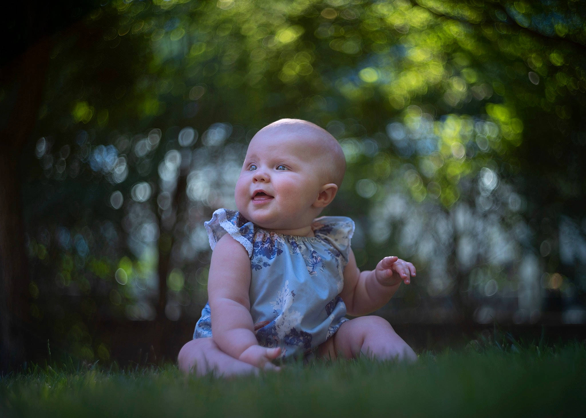 Charlize joined the competition — help win amazing prizes! baby, baby_toddler_clothing, backlighting, child, darkness, flash_photography, forest, fun, gesture, grass, grassland, hand, happy, meadow, people_in_nature, person, plant, sitting, toddler, tree