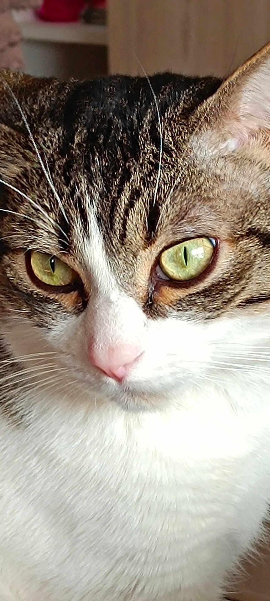Poupouf
