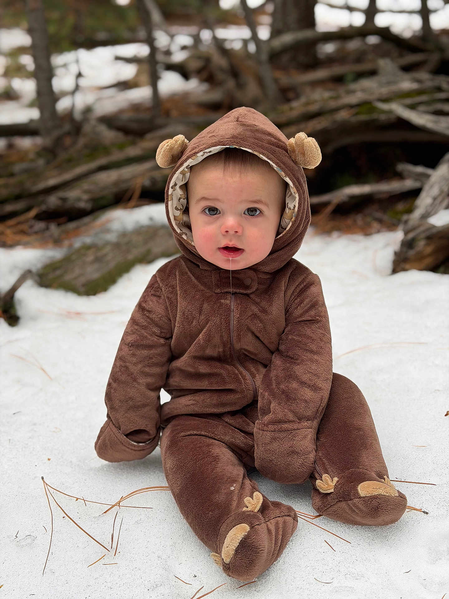 Beau is registered to the contest to win money with this photo: baby, child, snow, forest, brown_onesie, hood, cute, drool, sitting, winter_clothing, outdoor, nature, logs, pine_needles, eyes, face, warm_clothes, fur_texture, footwear, hood_ears