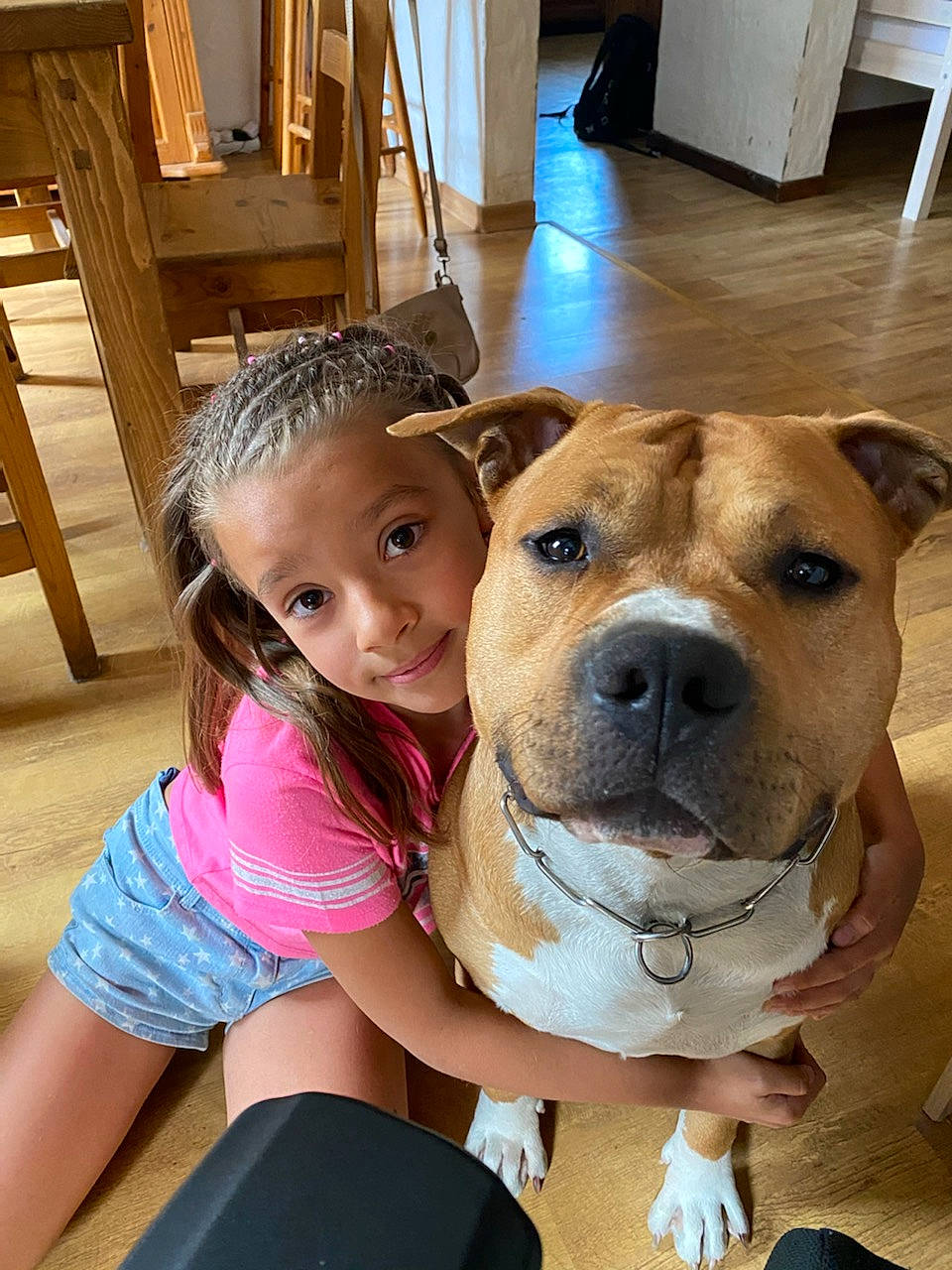 Drogo a rejoint le concours — aidez-le/la à gagner de superbes lots ! canidae, carnivore, child, collar, companion_dog, dog, dog_breed, dog_collar, fawn, flooring, fun, fur, guard_dog, happy, leisure, recreation, snout, toddler, wood, working_animal