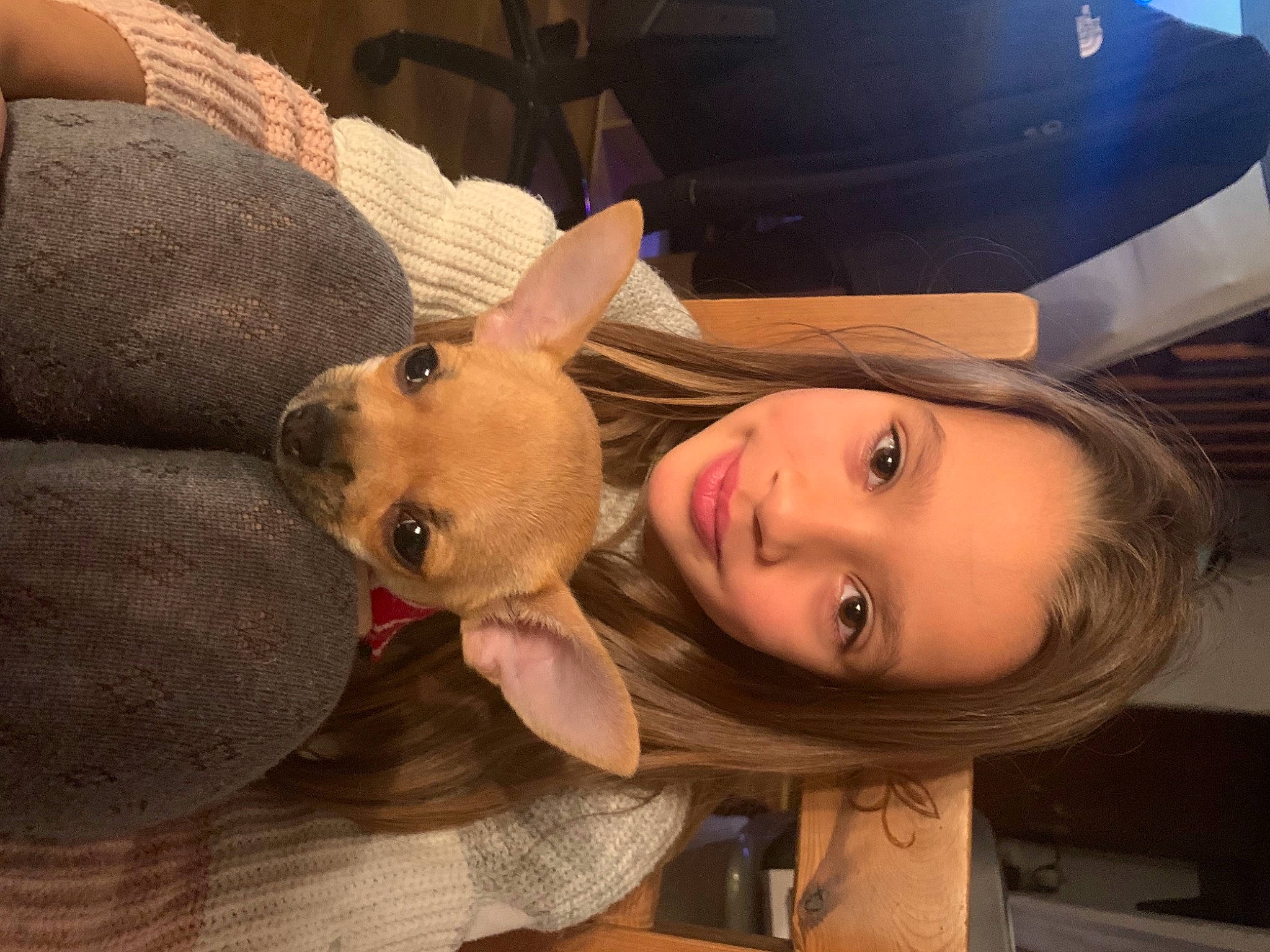 Rimmel participe au concours pour gagner de l'argent avec cette photo : carnivore, companion_dog, dog, dog_breed, ear, eyelash, eyewear, fawn, fun, fur, happy, head, jaw, lip, mouth, nose, selfie, skin, smile, wood