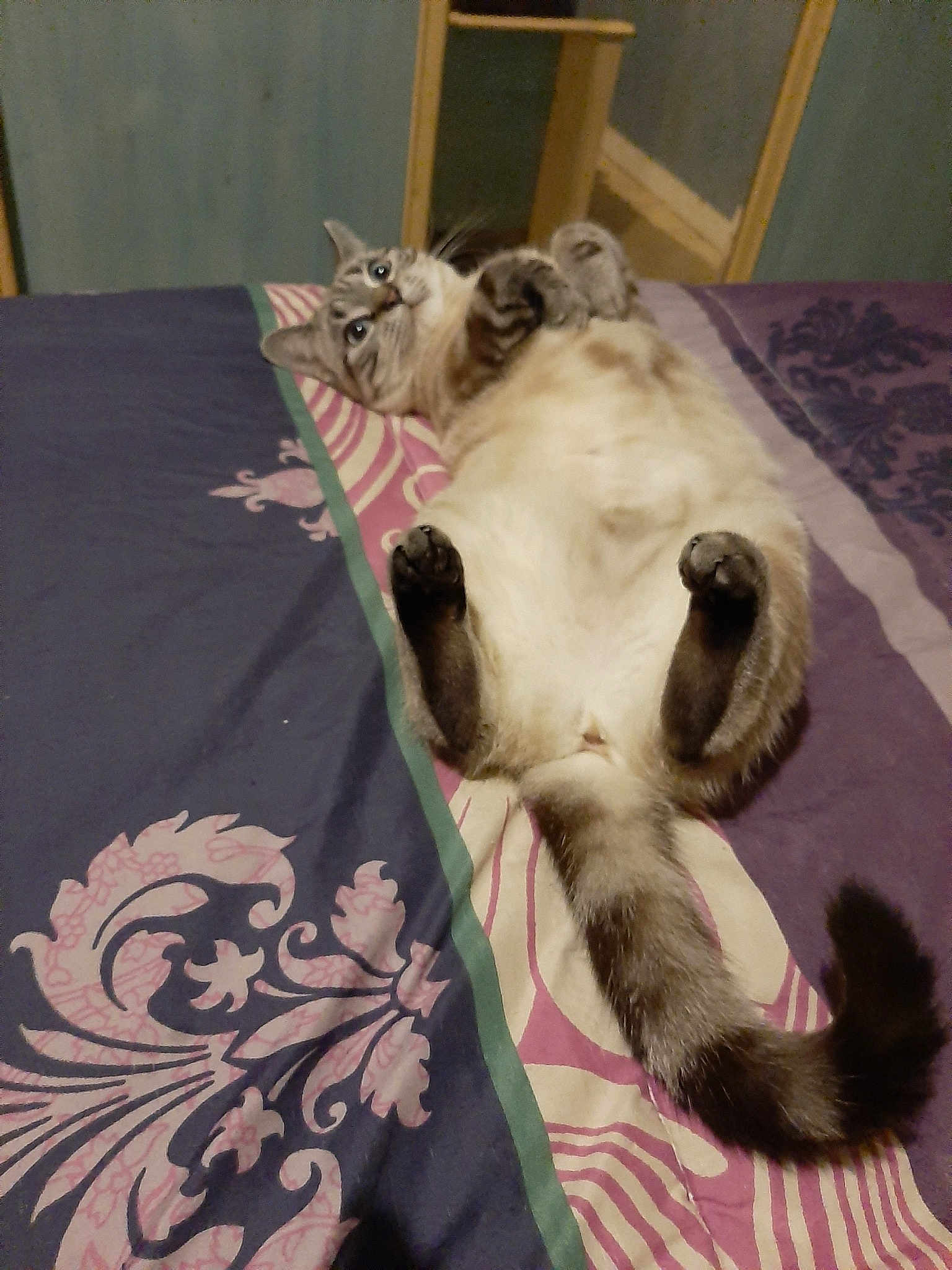 Pepsy