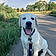 Cooper
