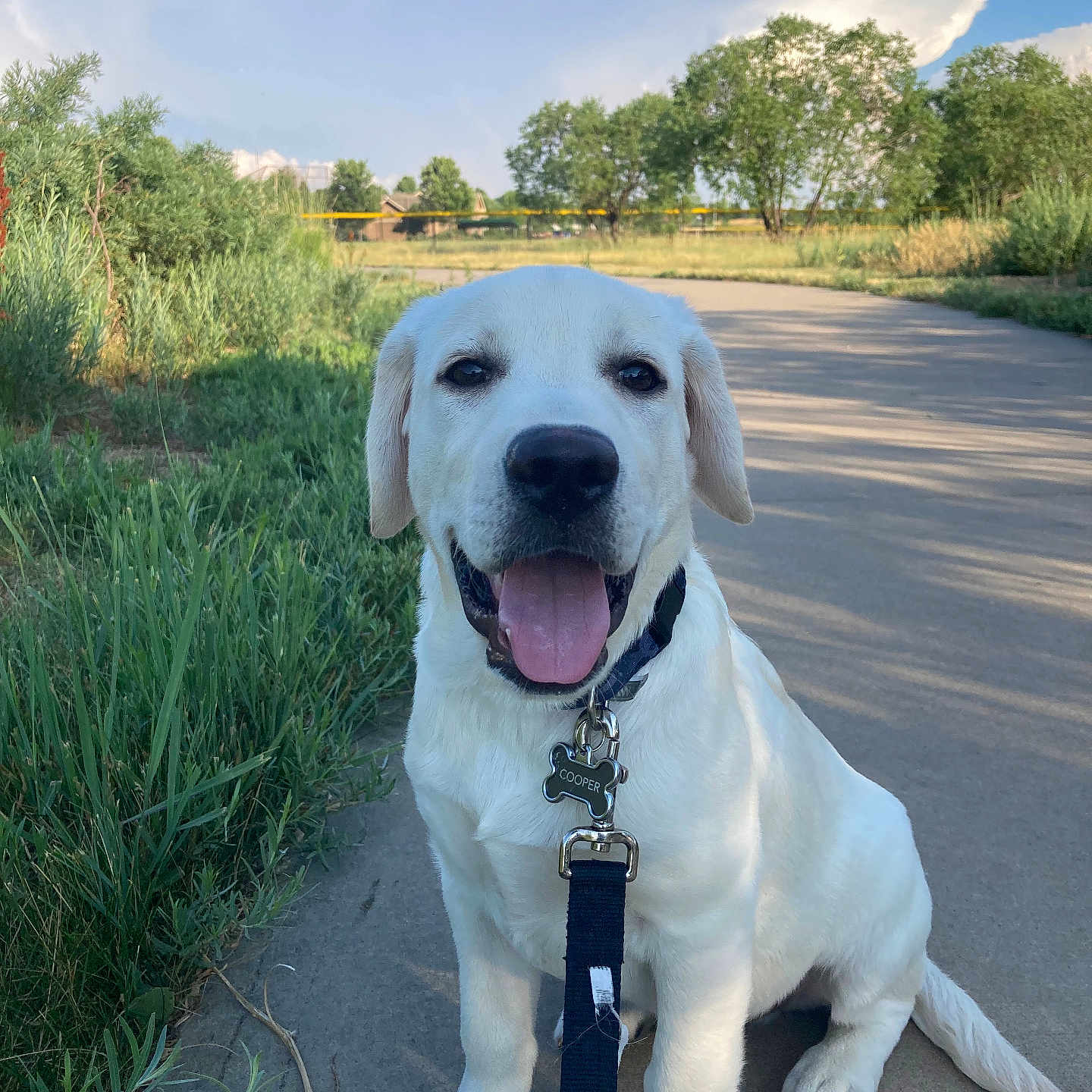 Cooper