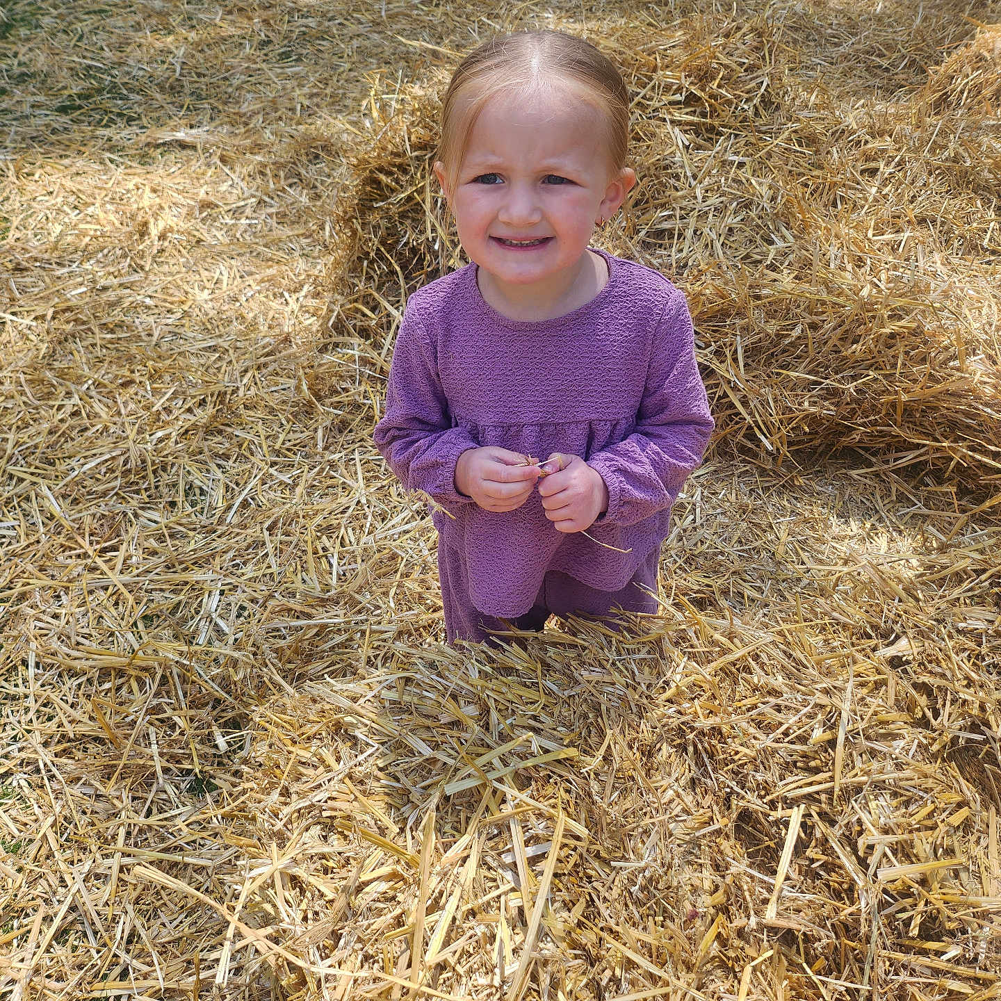 Mya participe au concours pour gagner de l'argent avec cette photo : casual, child, cute, daytime, expression, field, girl, grass, hay, nature, outdoor, person, playful, portrait, purple_clothing, smile, standing, straw, sunlight, young